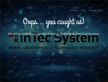 Tablet Screenshot of intecsystem.net